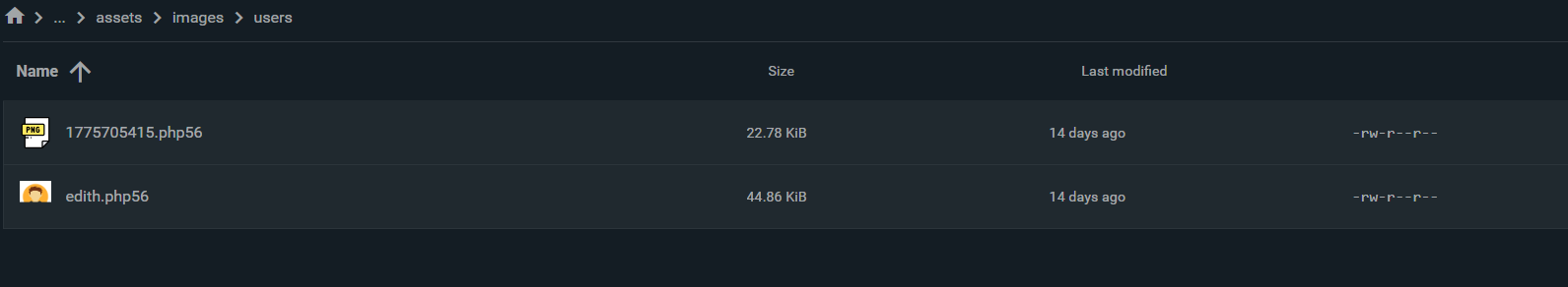 Evidence of malicious PHP files disguised as images in the public directory